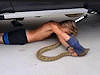 14yo Aussie Boy Rangles A Snake