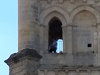 Couple Bang One Out Atop An Old Church Tower In France