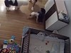 Big Brother Catches His Infant Sibling Falling From The Change Table