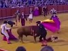 Bull Tears Matador A New Asshole