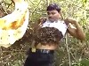 Crazy MOFO Doesn't Afraid Of Bees