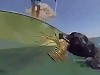 Dog Can Dive To Catch Crayfish
