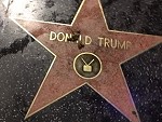 Dog Shitting On A Trumps Star Isn't Really Funny Or Clever
