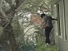 Dumbass Falls Hard Whilst Trying To Reach A Tree