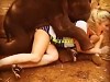 Elephant Tries To Root A Hot Girl
