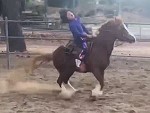 Experiences Her First Horse Riding Accident And Its Hilarious
