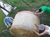 Farmers Spectacularly Lose A Hay Bail