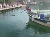 Fisherman Spears A Confused Marlin In A French Port
