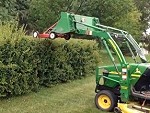 Ingenious Way To Trim The Hedges
