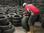 Its Their Job To Stack Tyres All Day

