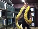 Just A Man Playing With His Snake
