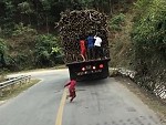 Little Dudes Robbing A Moving Sugar Cane Truck
