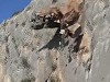 Lucky To Be Alive As Rock Face Crumbles Next To Climber
