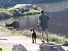Man Jogging With His Dog Get A Tagalong