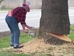 Old Timer Shows How To Accurately Saw Down A Tree
