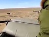 Ostrich Was Dead Before It Stopped Moving