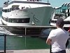 Out Of Control Whale Watching Boat Ploughs Into The Dock
