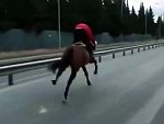 Pays The Price For Riding A Horse On The Open Road
