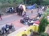 Pissed Off Elephant Goes On A Rampage Somewhere In India