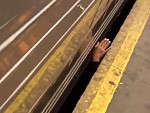 Subway Tracks Not A Good Place To Hangout Buddy
