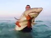 Thirty Seconds Hoping The Shark Eats Him