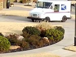 USPS Driver Inexplicably Falls Out Of His Van
