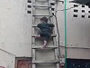 Yes Definitely Seems Like The Right Age For Playing On Ladders