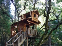 Amazing Treehouses 01