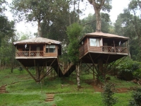 Amazing Treehouses 04