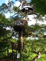 Amazing Treehouses 06