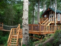 Amazing Treehouses 07