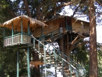 Amazing Treehouses 08