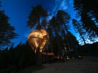 Amazing Treehouses 09