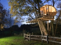 Amazing Treehouses 14