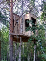 Amazing Treehouses 15