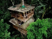 Amazing Treehouses 17