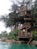 Amazing Treehouses 19