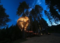 Amazing Treehouses