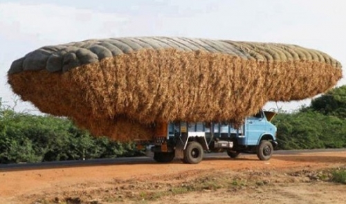 Art Of Carrying Loads 05