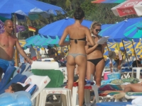 Asses 37