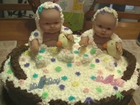 Baby Cakes 03