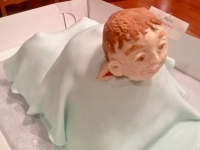 Baby Cakes 20