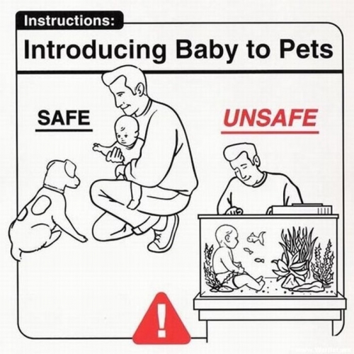 Baby Instructions 17