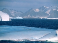 Beautiful Antarctica 06