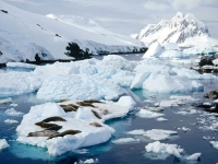 Beautiful Antarctica 25