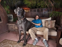 Big Dogs 04