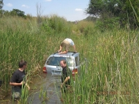 Bogged 09