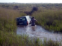 Bogged 26