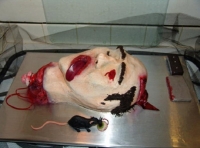 Cake Fails 24