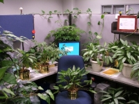 Cubicle Pranks 15